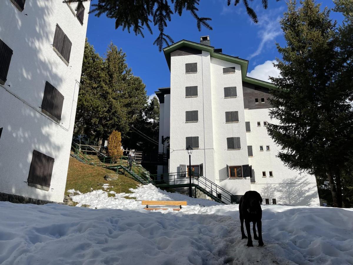 Izas - Pirineos360 - Practico Y Sencillo - Perfecto Para Esquiadores ฟอร์มีกัล ภายนอก รูปภาพ